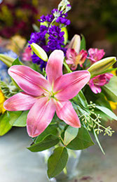 custom website design channel my27 website