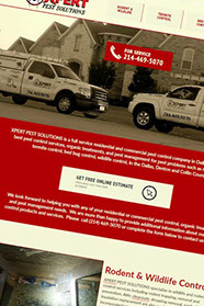 custom website design Cuquitas Mexican Restaurant in Dallas, Tx