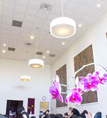 custom website design Cuquitas Mexican Restaurant in Dallas, Tx